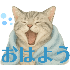 Fluffy Summer Cats Gentle Replies