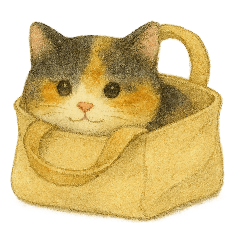 Cozy Cats in All the Right Spots