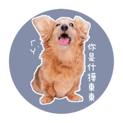 可愛懶惰佐魯比