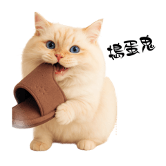 嘟嘟～日常生活表情包（3）