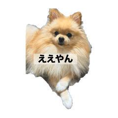 popcorn_20250719055800