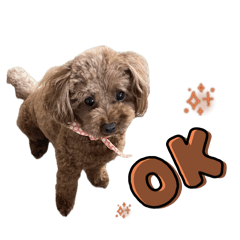 Gorin_20250719151546