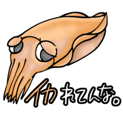n_20250719155703