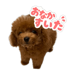 panda_20250719182910