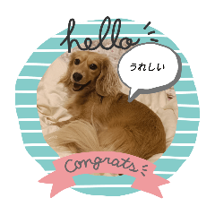 Himawari_20250719183859