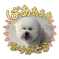 Tommy_20250719195854