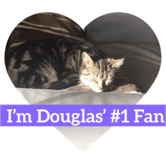 My Baby Douglas, The Little Elf Cat