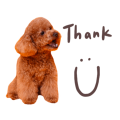 Queena_20250719180812