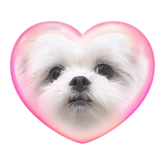 Ririka_20250720011945