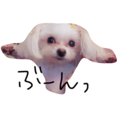 Beans part2