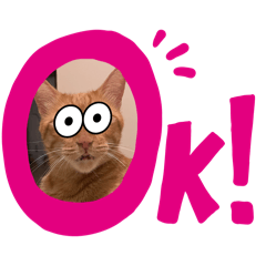 毛毛小豬第二彈