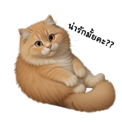 Cat  worker jaa