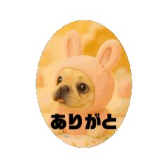 動くブヒブヒなかま2