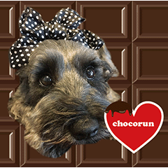 chocolatechocolatechocolate