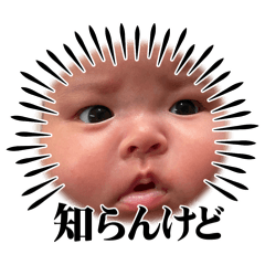 momo_20250719230347