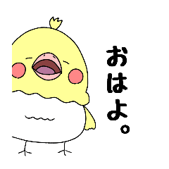 Cockatiel's daily life!