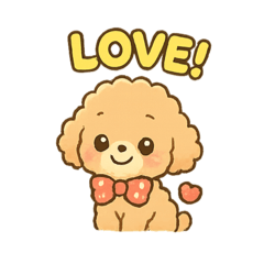 Chill Toy Poodle