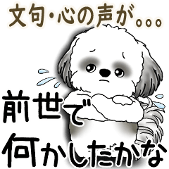 B&W シーズー犬 2025 「文句と心の声」