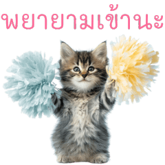 Healing Cute Kitten Stickers 2