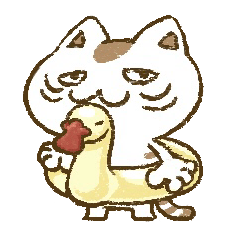 What The Heck world-weary