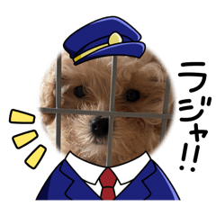 Misaki_20250720140512