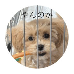 Misaki_20250720141114