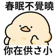 迷因鴨鴨♡春眠不覺曉,你在供さ小