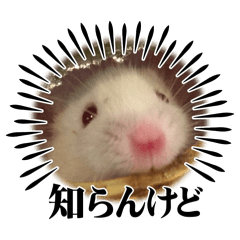 sugar_20250720001551