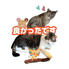 monroe_20250719203614