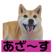 KIGANUU_20250720094730