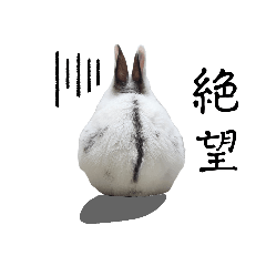 kanae_20250720015317