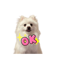 Maru's Daily Stamps2