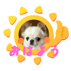 HIKARI_20250720091123