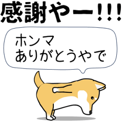 激しく尻尾をふる柴犬❤関西弁