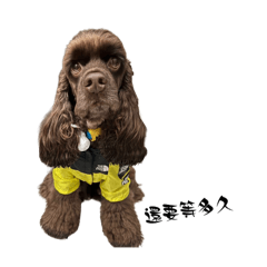 Kudi 日常生活表情包