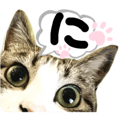 Roux._20250721012509