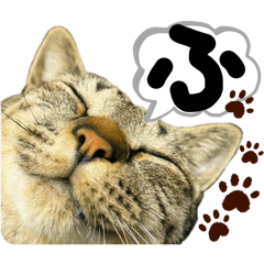 Roux._20250721013350