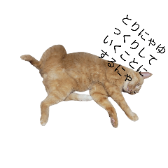 tora_20250720113111