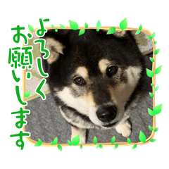 happy_20250720165627