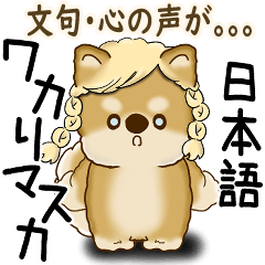 柴犬 2025 「文句と心の声」