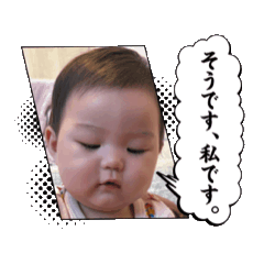 Suzu chans