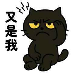 一隻臉和個性都讓人討厭的貓