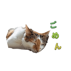 riku_20250720181845