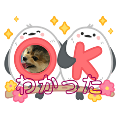 HIKARI_20250720200454