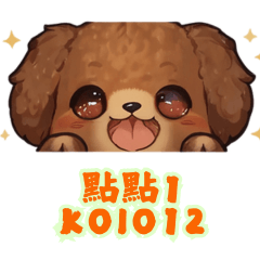 A brown poodle-koio12