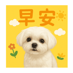 我是歐米