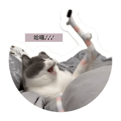 妹妹的日常語錄