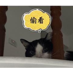 阿貴與阿富的日常3