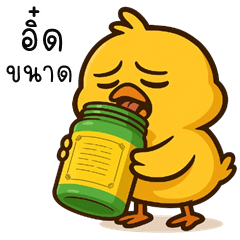 Cheeky Chick (Kum-muang)