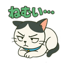 sachiko_20250721063650
